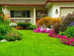 8 Area Rumah yang Harus Dibersihkan Setelah Mudik Lebaran