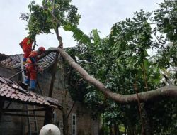 Dampak Hujan Deras dan Angin Kencang di Sleman, Joglo Ambruk dan Gerbang Tol Ditutup