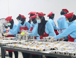 Penyebab Penutupan 17 Dapur MBG di Jawa Timur, 3 di Jember