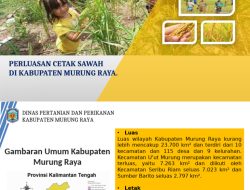 Kolaborasi Kementan dan Pemprov Sukseskan Cetak Sawah Rakyat
