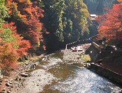 Itinerary Kyoto Rp1,9 Juta: Eksplor Budaya & Foto Ala Geisha