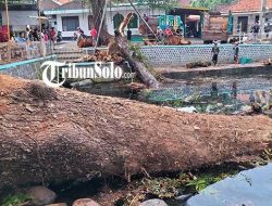 Wisata gratis Boyolali: Umbul Langse, pengalaman menyelam di terowongan bawah air