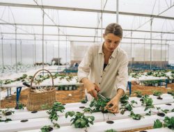 10 Ide Bisnis Kuliner, Tidak Perlu Buka Restoran