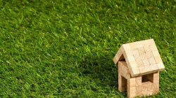 5 Jenis Rumput yang Menjadikan Halaman Lebih Hijau!