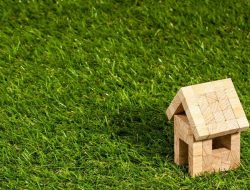 5 Jenis Rumput yang Menjadikan Halaman Lebih Hijau!